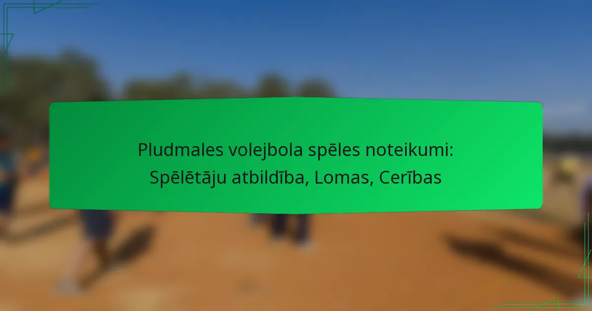 Pludmales volejbola spēles noteikumi: Spēlētāju atbildība, Lomas, Cerības